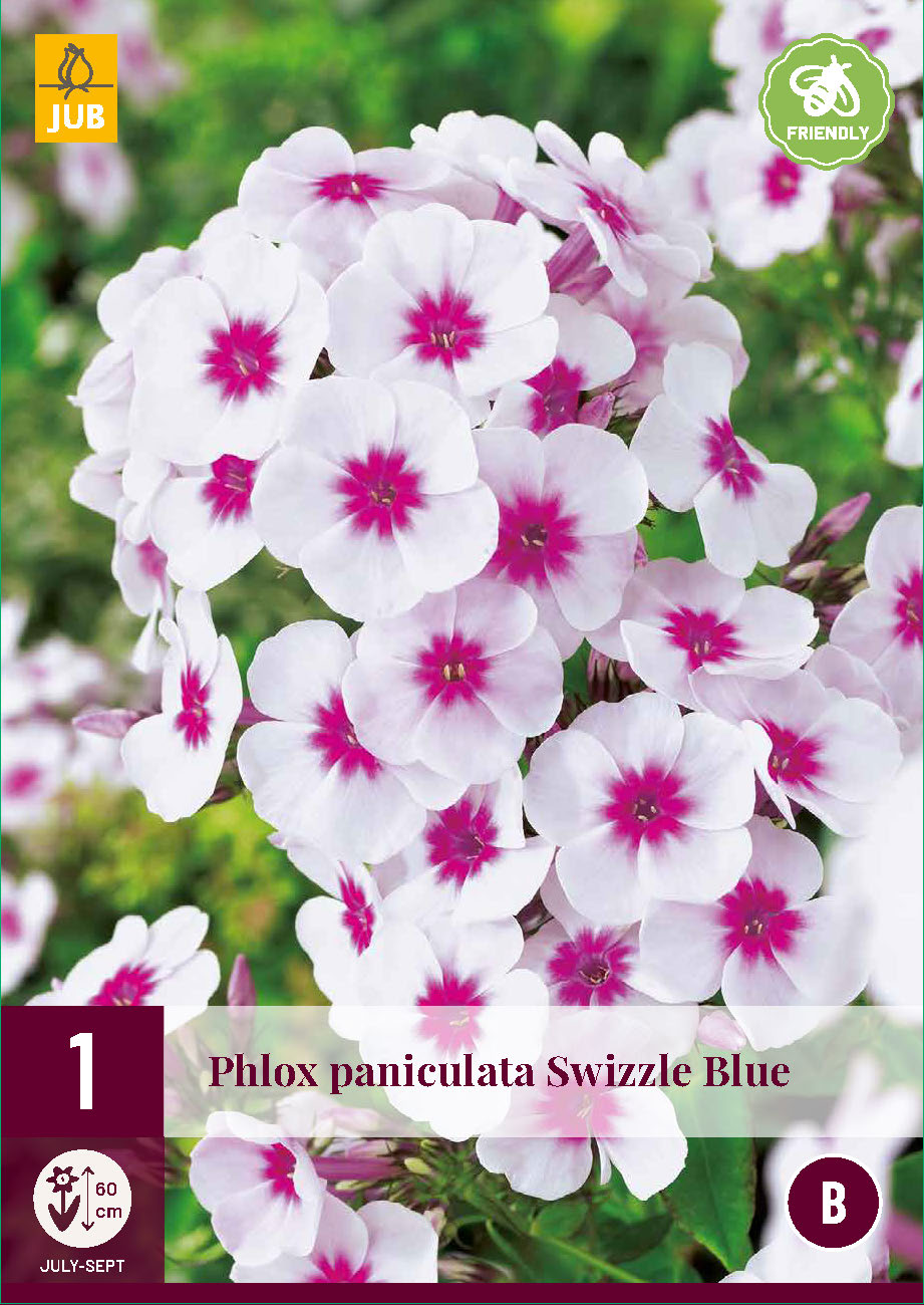 Skarainais floksis Swizzle Blue (1 gab. paciņā)