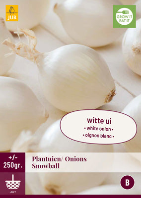 Sīpols Snowball 250 g (1 gab. paciņā)