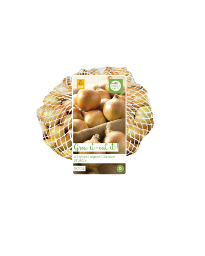 Sīpols Sturon 500 Gr (1 gab. paciņā)