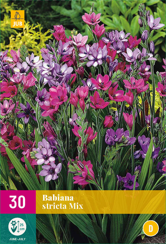 Babiāna Mix 5/ + XXL (30 gab. paciņā)