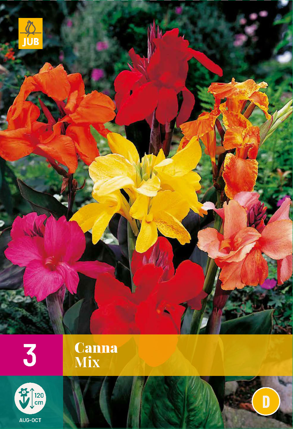 Dārza kanna Mix XXL (3 gab. paciņā)