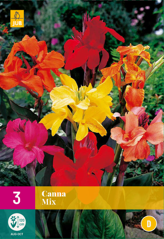 Dārza kanna Mix XXL (3 gab. paciņā)