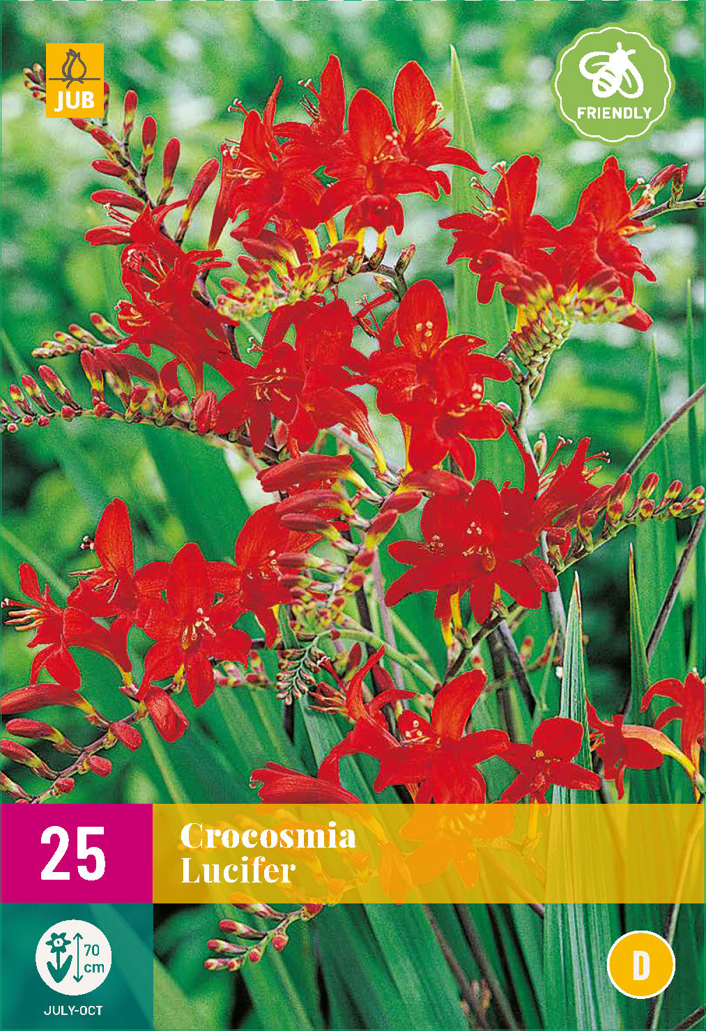 Montbrēcija Lucifer 8/XXL (25 gab. paciņā)