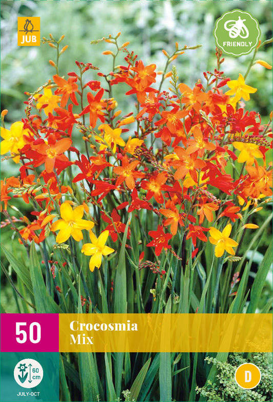 Montbrēcija Mix 6/7 XXL (50 gab. paciņā)