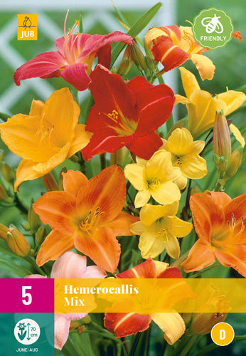 Dienziede Mix XXL (5 gab. paciņā)