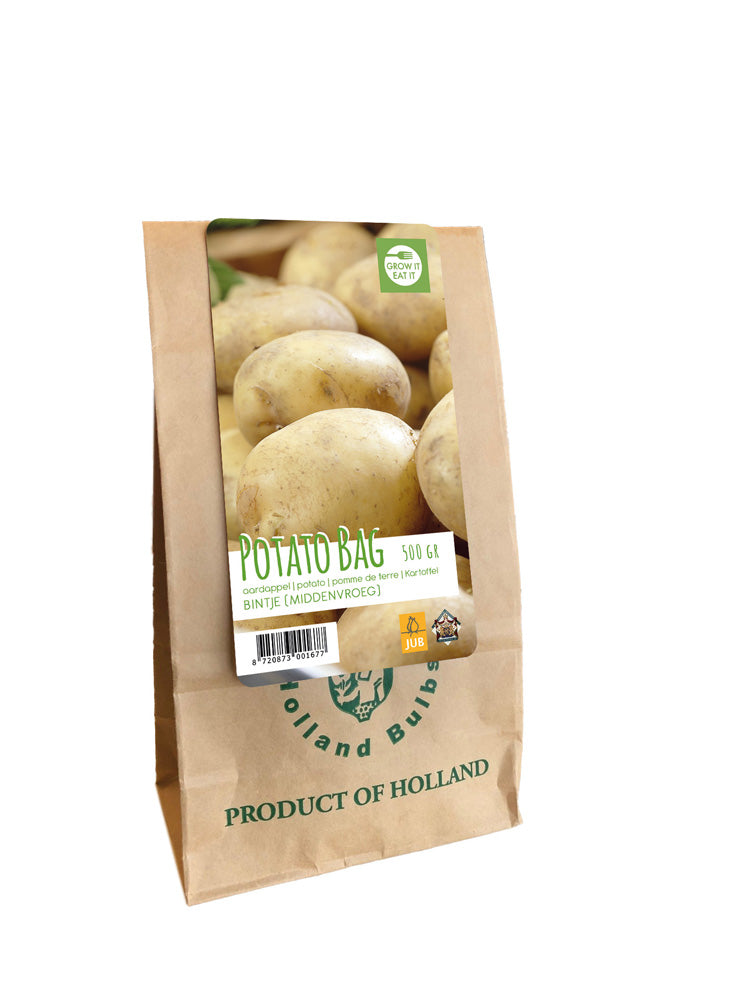 Kartupelis Bintje (500g paciņā)