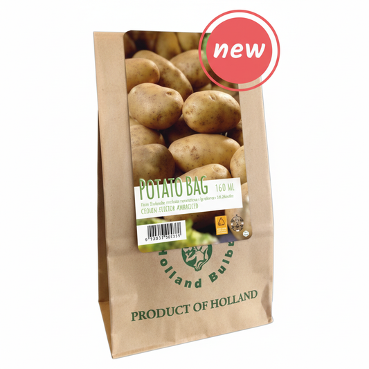 Kartupelis Dore 500gr (1 gab. paciņā)