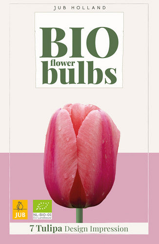 Tulpe, Darvina hibrīds Design Impression (BIO) 11/+