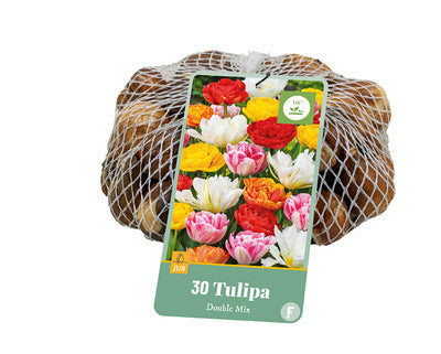 Tulpju maisījums Double Mix (tīkliņā) 11/12
