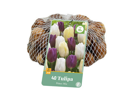 Tulpju maisījums Prince Mix (tīkliņā) 11/12