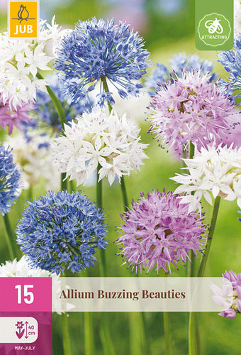 Dekoratīvais sīpols Buzzing Beauties 6/+