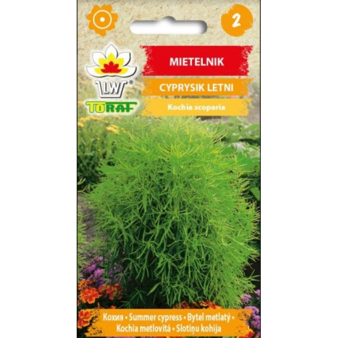 Kohija slotiņu 1g NL183205.3