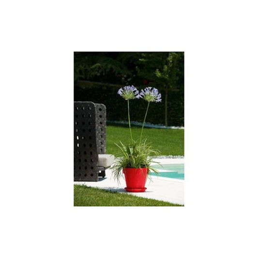Puķu pods MITU PAC Sarkans 25cm