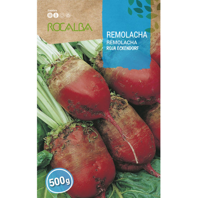 Lopbarības bietes Roja Eckendorf 500 g