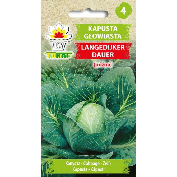 Kāposti Langenijker Dauer 2g DE80016920179047;IT40379CIN0CA ST