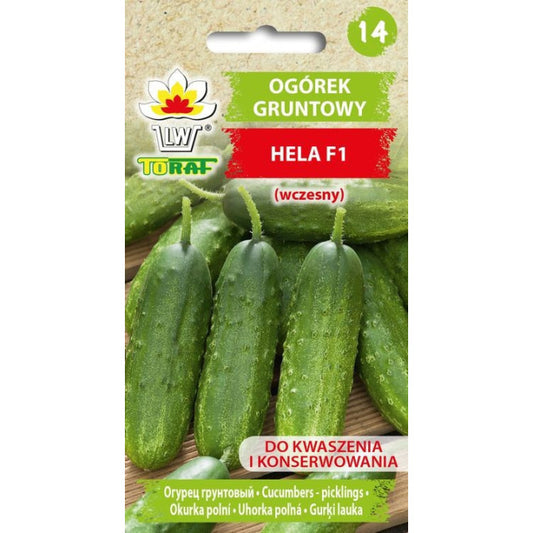 Gurķi Hela F1 5g DE80016920193054