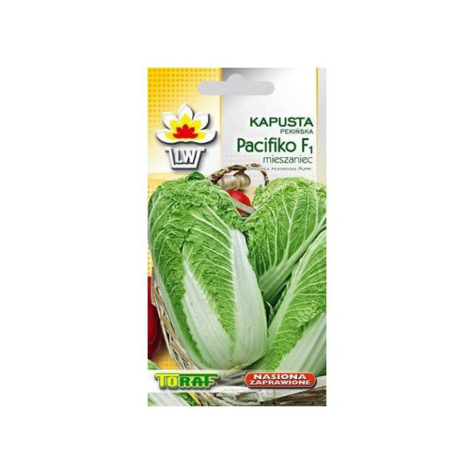 Kāposti Pekinas PACIFIKO F1 20s.NL1452789 ST