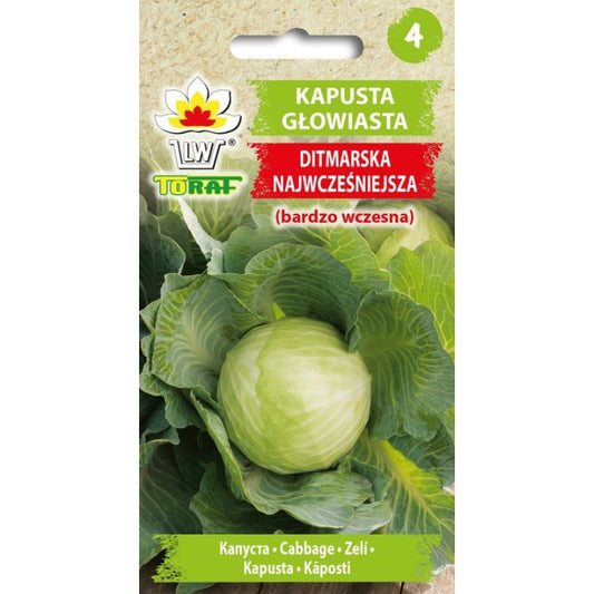 Kāposti DITMARSKA 2g IT41375CIN0AX;DE80016020189062 ST
