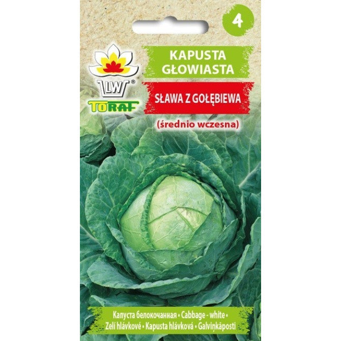 Kāposti Slava z Golebiewa 2g PL614/32/83/UKA31 ST