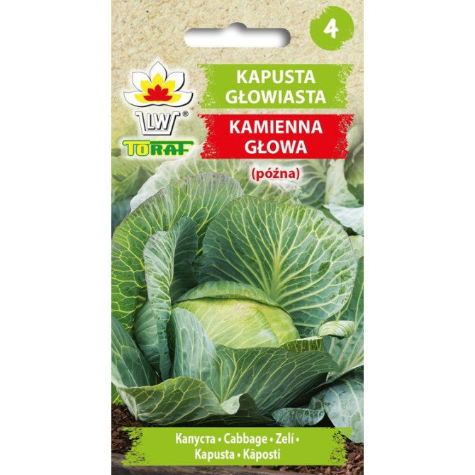 Kāposti Kamienna Glowa 2g 80016020199125 ST