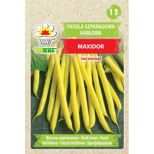 Pupiņas Sparģeļu dzeltenas Maxidor