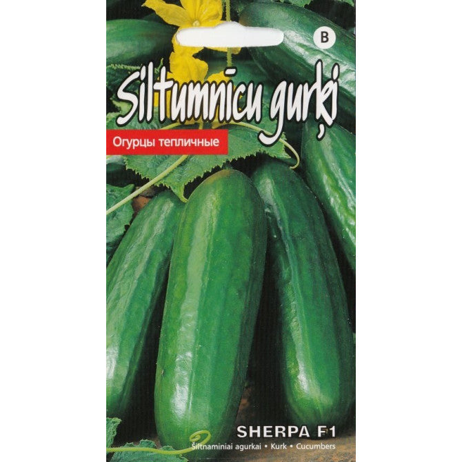 Gurķi SHERPA F1 8sēklas