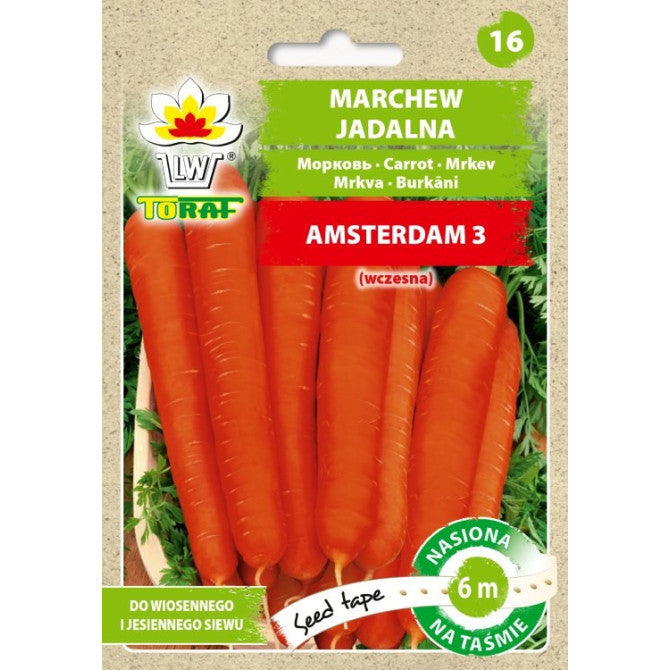 LENTE Burkāni Amsterdam 3, 6m DE80016020204847 ST
