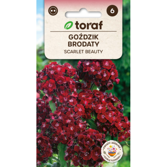 Studentu neļķes (TORAF) Scarlet Beauty 0.5g