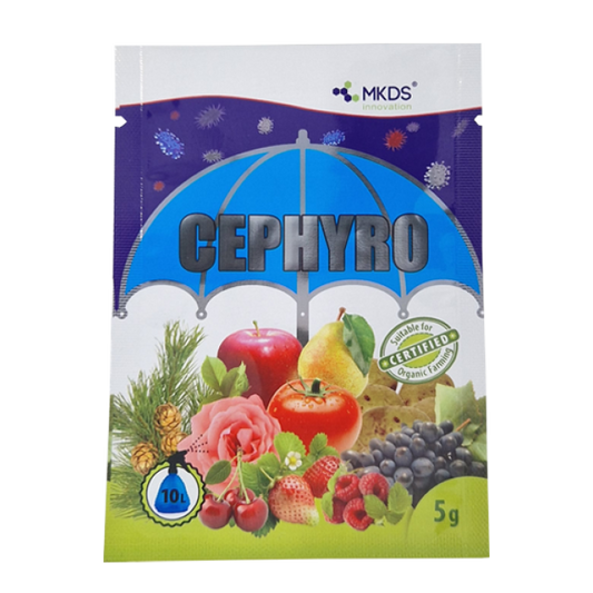 Cephyro 5g