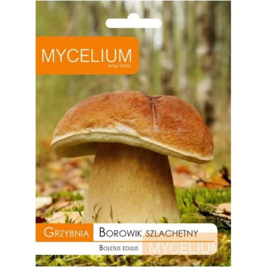 Egļu Baravikas micēlijs 10g