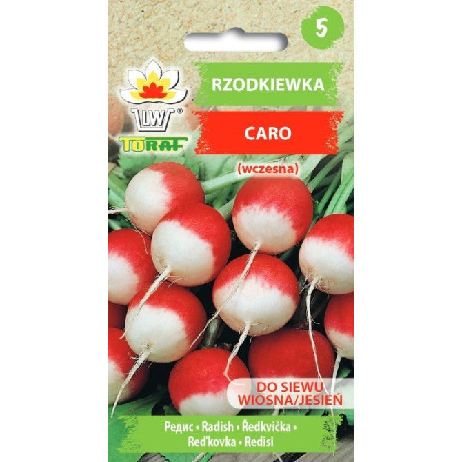 Redīsi Caro 10g PL802/05/16/HR19 ST