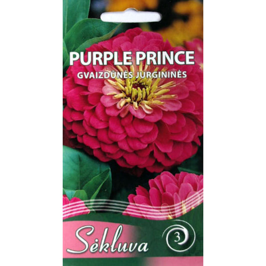 Cinnijas PURPLE PRINCE 1g S.N.9792