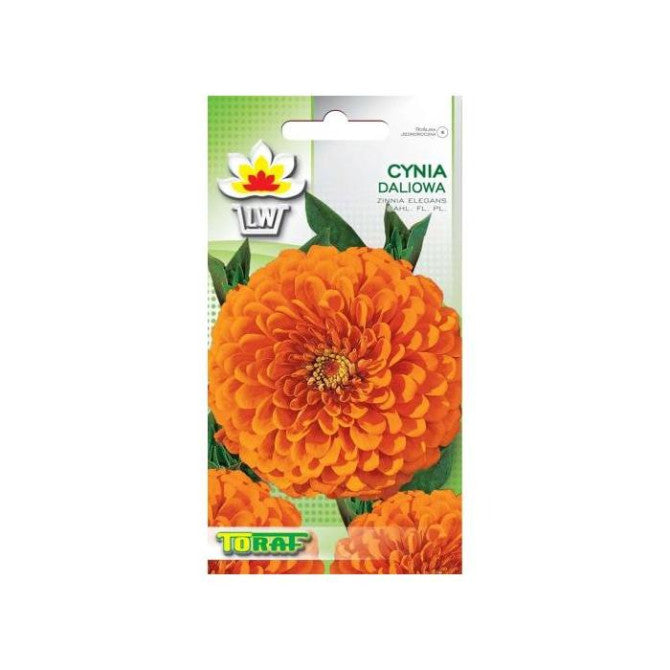 Cinnijas oranžas 1g NL181491.37
