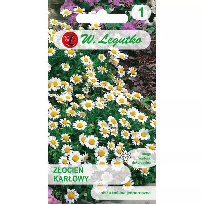 Krizantēma krastmalu balta 0.2g