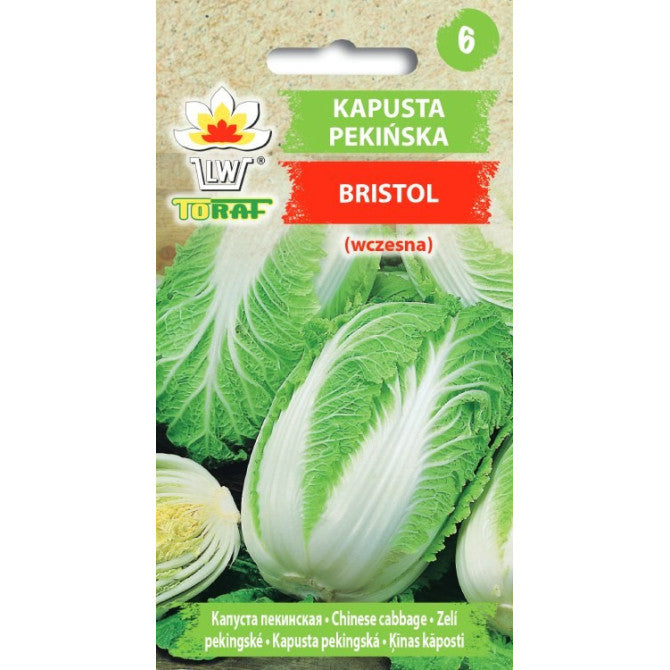 Kāposti Pekinas Bristol 1g CZ0-0051-68031-01 ST