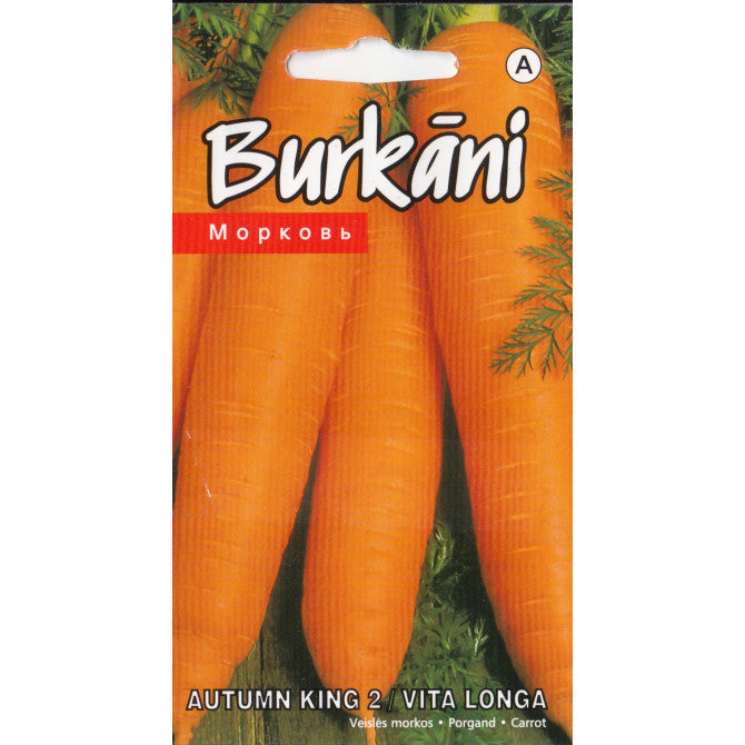 Burkāni Vita Longa/Autumn King 2, 1g