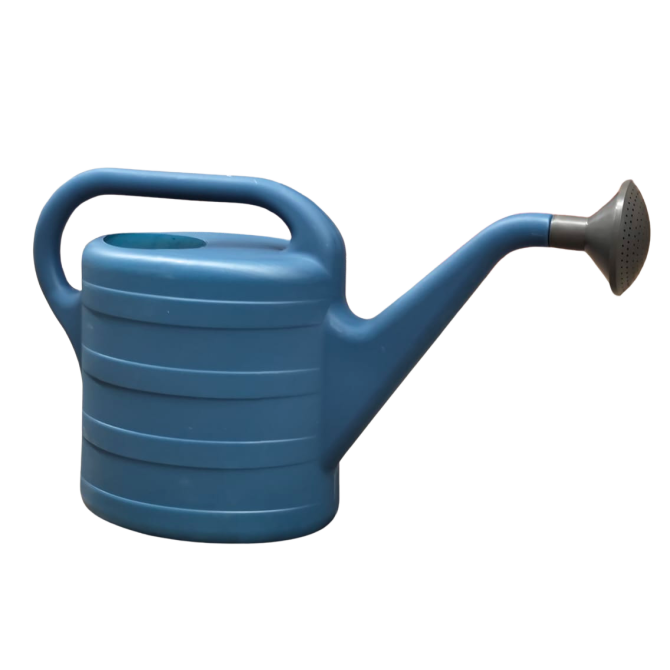 Lejkanna zila 10L