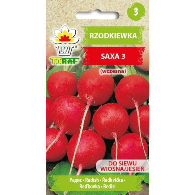 Redīsi Saxa 3 10g IT48479CIN0CA ST