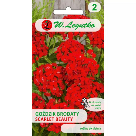 Studentu neļķes(LEGUTKO) Scarlet Beauty 0.5g