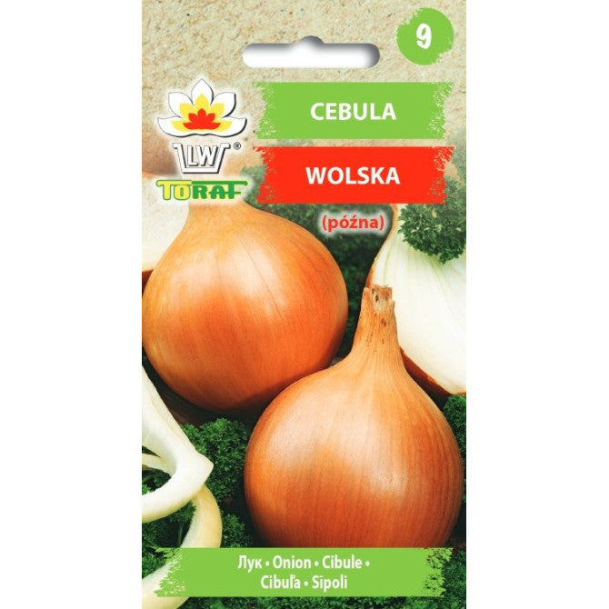 Sīpoli Wolska 5g(PASE UZ PACIŅAS)DE80016020205572ST