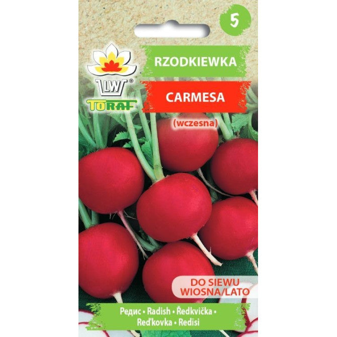 Redīsi Carmesa 10g PL702/05/16HR19