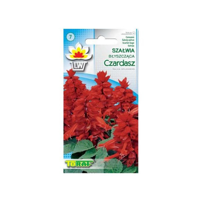 Salvija sarkana Czardasz 0.3g NL181491.91
