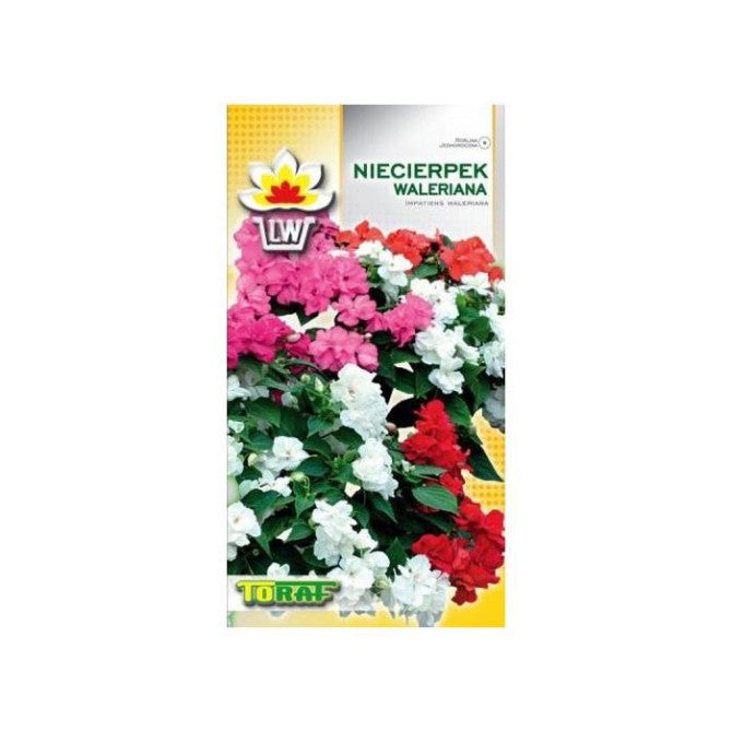 Balzamīnes Valera sprigane (Waleriana) 0.1g NL181491.23