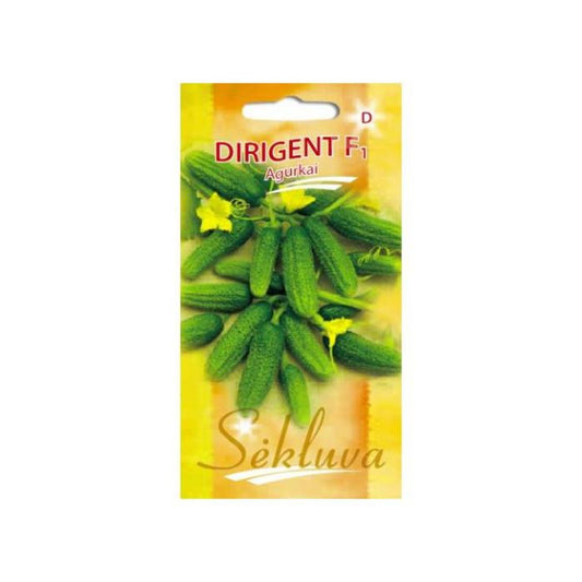 Gurķi (SEKLUVA) DIRIGENT F1, 20 sēklas