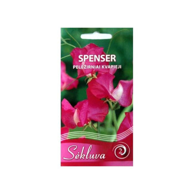 Puķu zirņi SPENSER rozā 3g S.N.10504