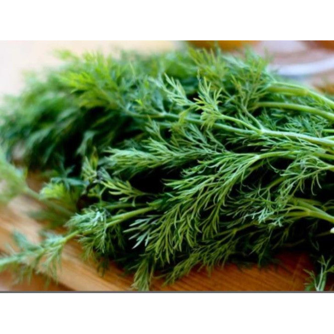 PAKA Dilles LUKULLUS 100g
