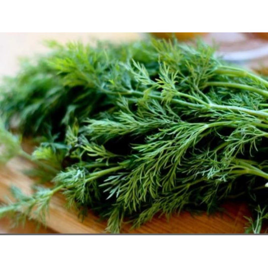 PAKA Dilles LUKULLUS 100g
