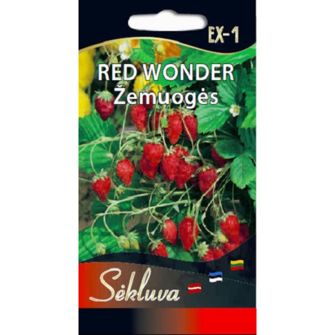 Zemenes RED WONDER 0.1g S.N.10313