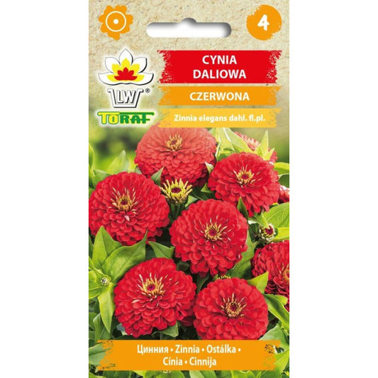 Cinnijas (TORAF) sarkanas 1g PL902644953/056