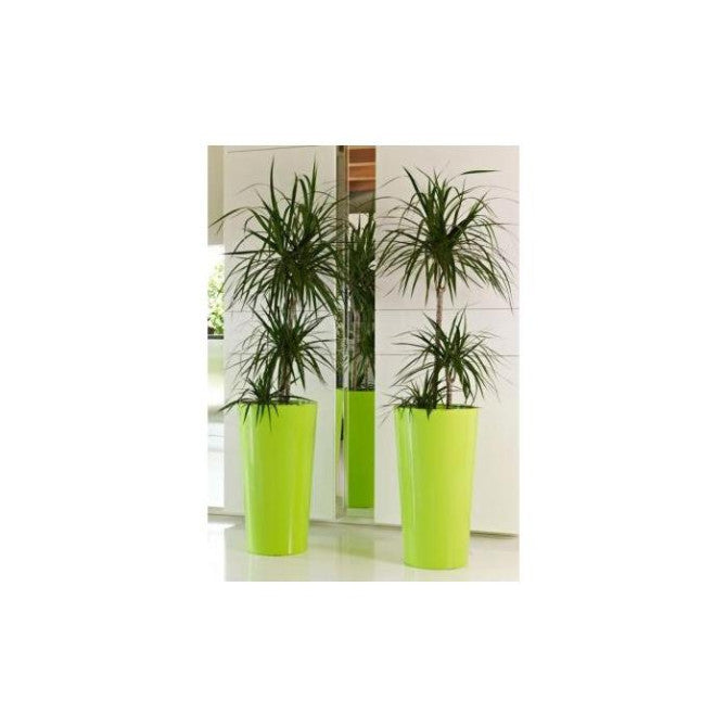 Puķu pods TUIT salātzaļš 33cm